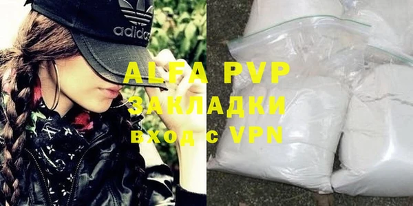 прущие грибы Бежецк