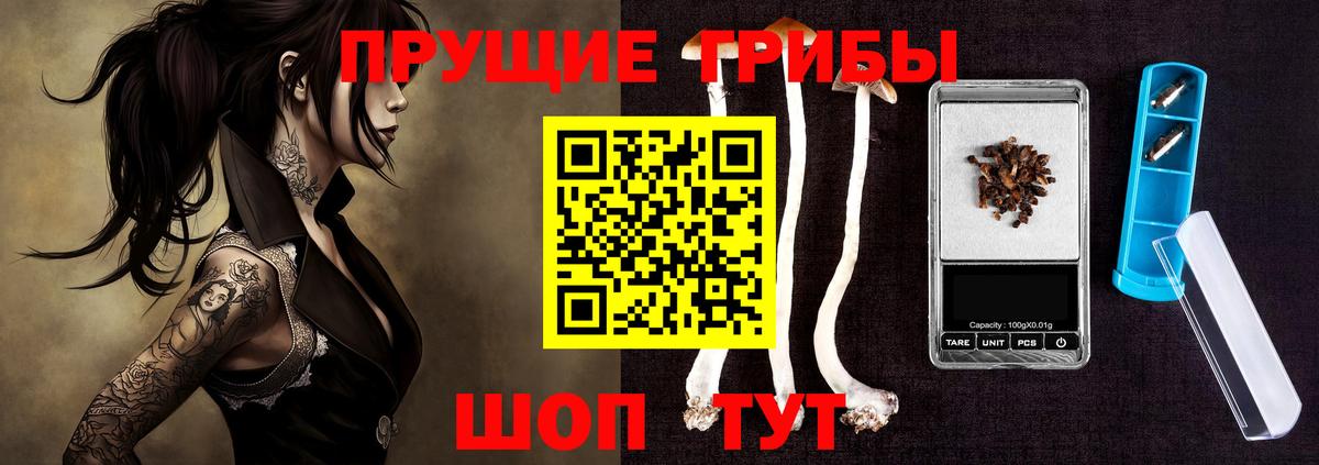 Зеленодольск  купить  сайты  Вход с VPN  Псилоцибиновые грибы мухоморы 